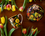 Camio Mug - Roses (CARMANI)