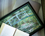Supporto per laptop - C. Monet, Ninfee (CARMANI)